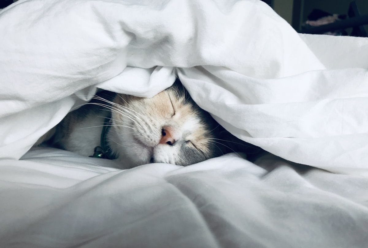 Sueño Reparador